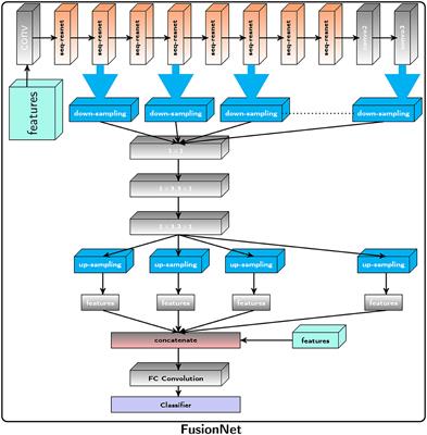 Hybrid deep spatial and statistical feature fusion for accurate MRI brain tumor classification